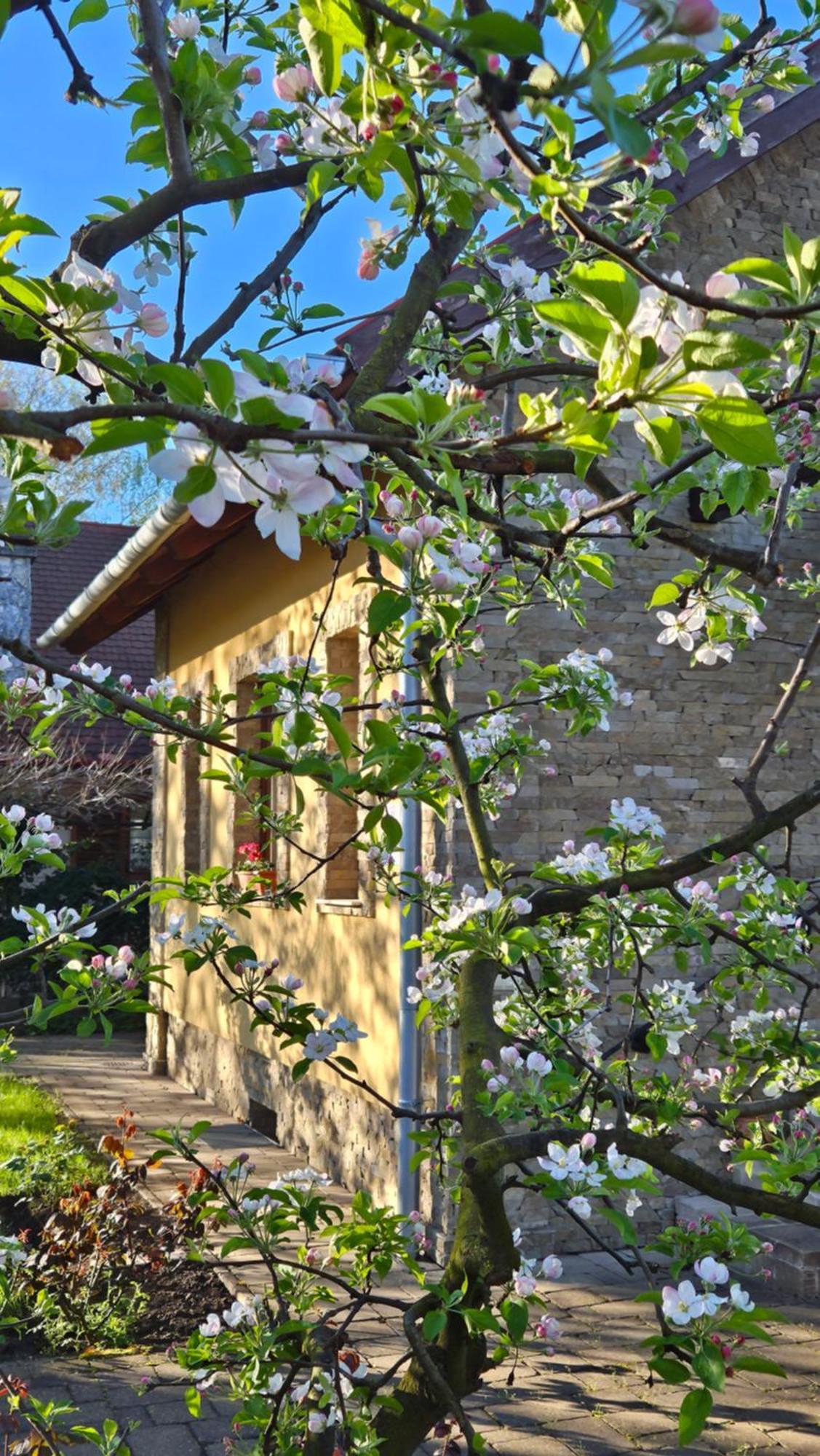 Duzzogó Vendégház Agárd Gárdony Exterior foto