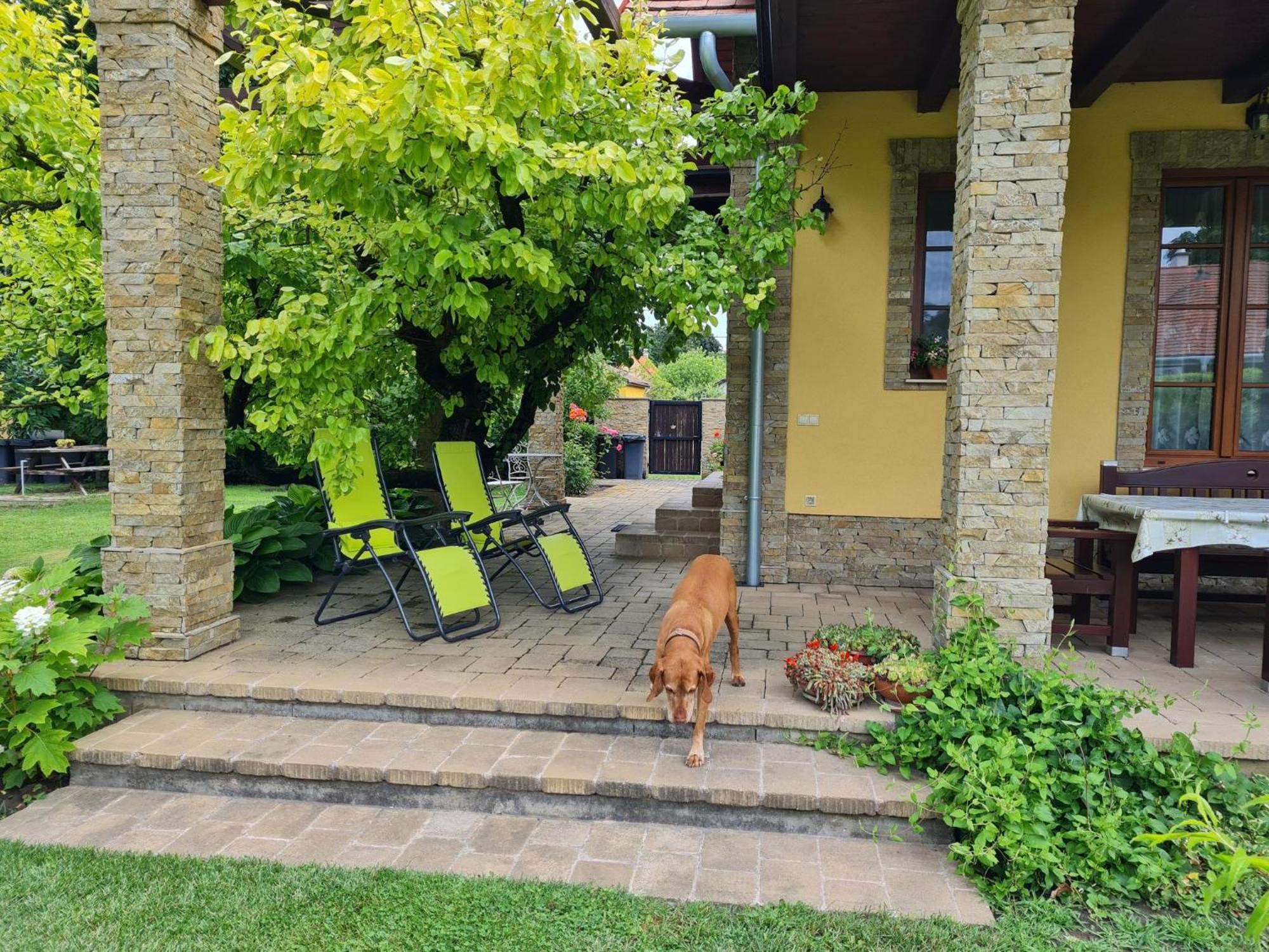 Duzzogó Vendégház Agárd Gárdony Exterior foto